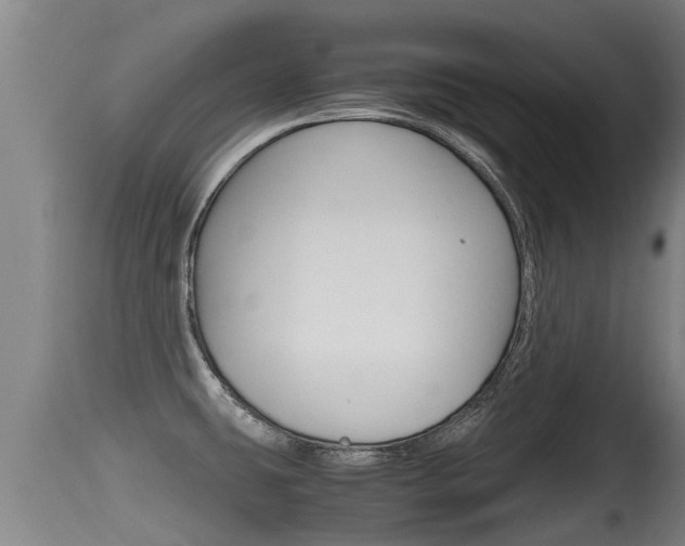 X0000115661431200911120933