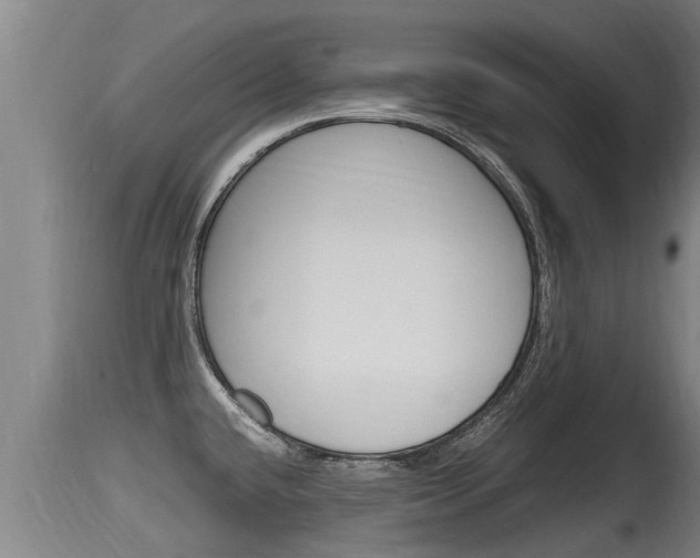 X0000115661432200911120933