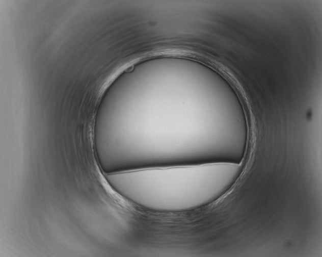 X0000115661433200911120933