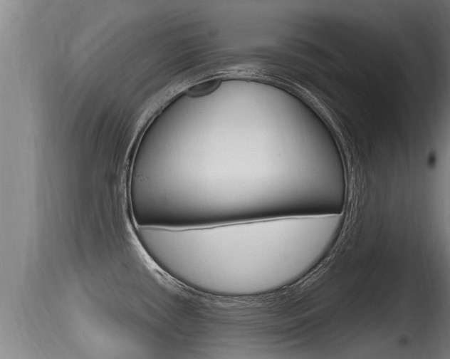 X0000115661434200911120933