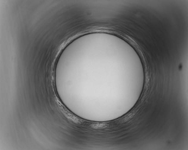 X0000115661435200911120933