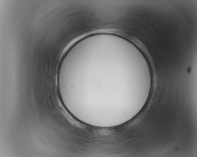 X0000115661436200911120933