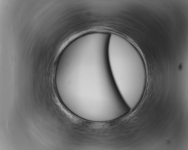 X0000115661437200911120933