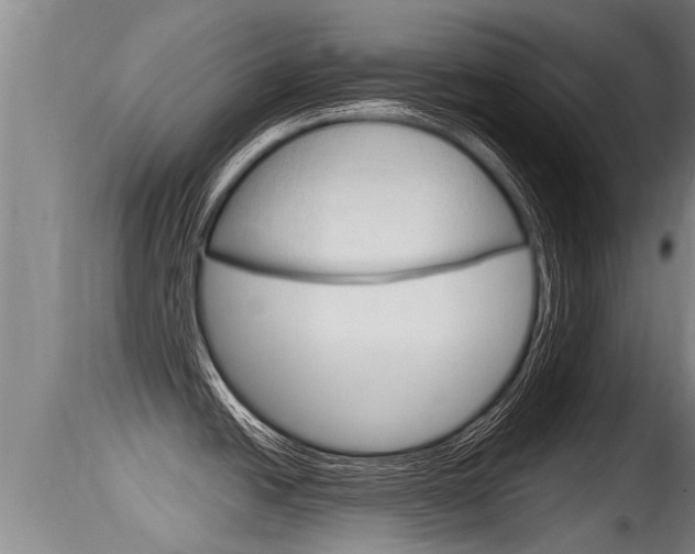X0000115661438200911120933