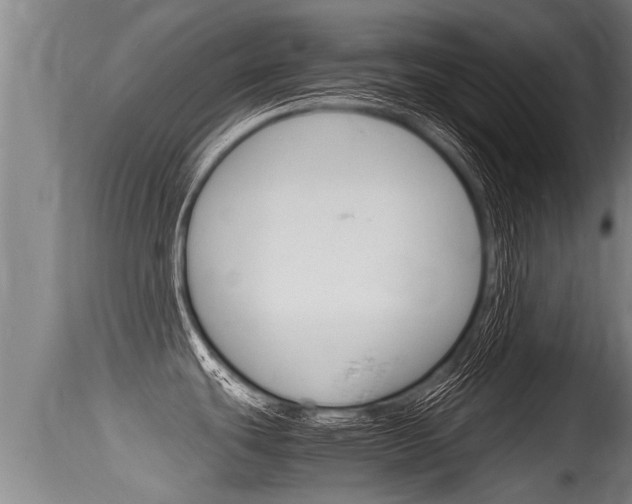 X0000115661439200911120933