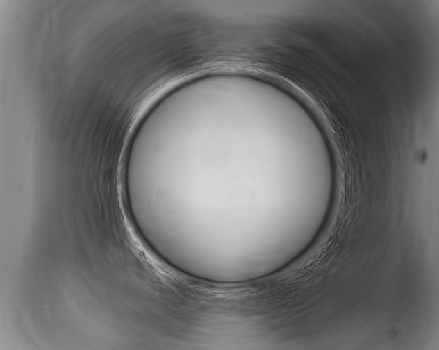 X0000115661440200911120933
