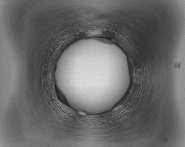 X0000115661441200911120932