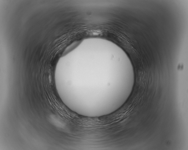 X0000115661442200911120932