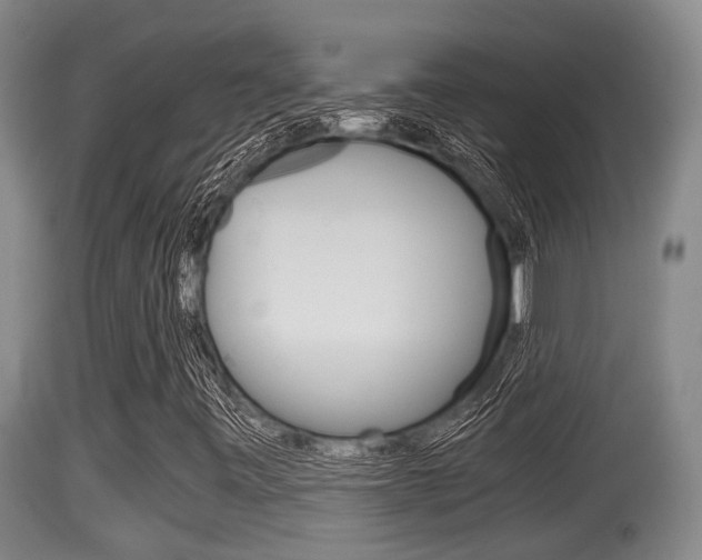 X0000115661443200911120932