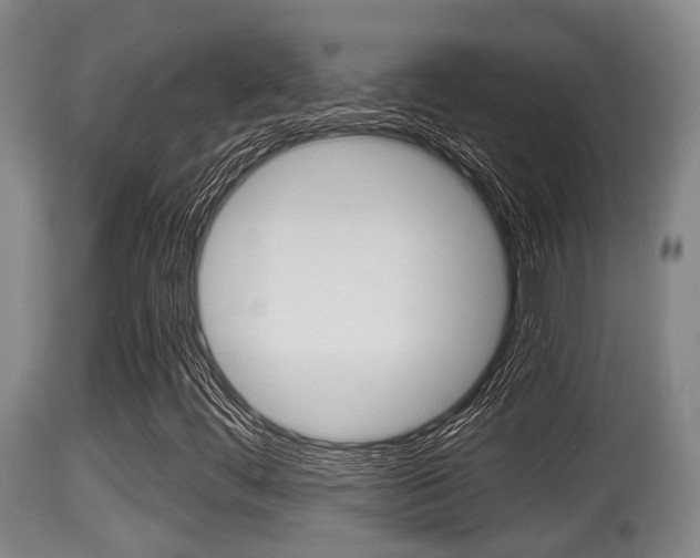 X0000115661444200911120932