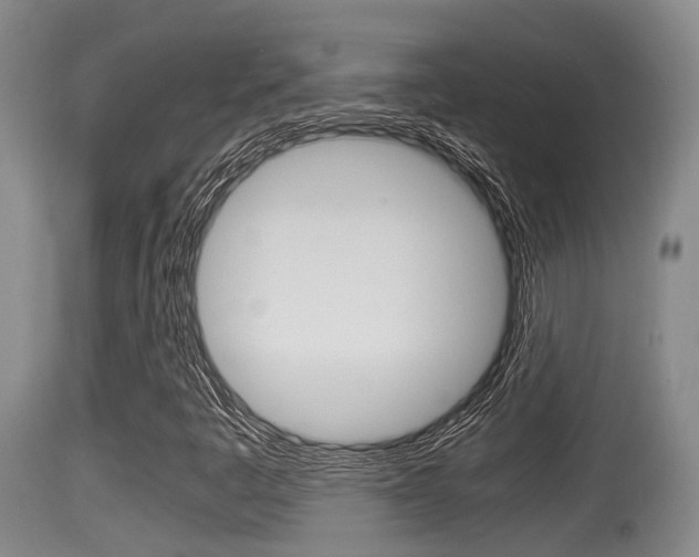 X0000115661445200911120932