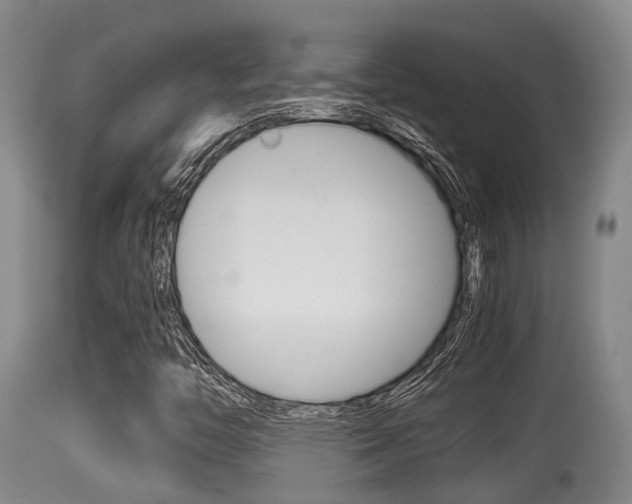 X0000115661446200911120932