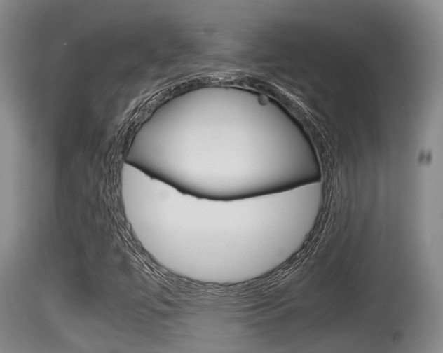 X0000115661447200911120932