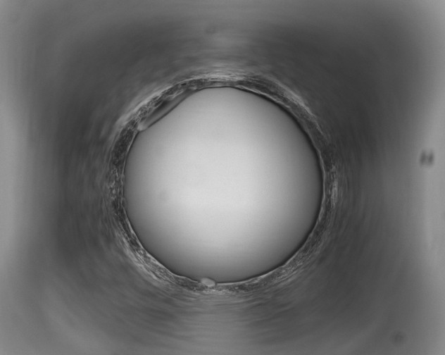 X0000115661448200911120932