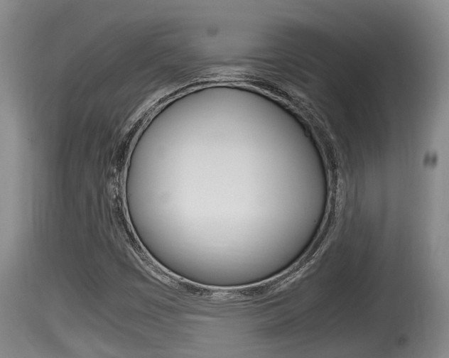 X0000115661449200911120932