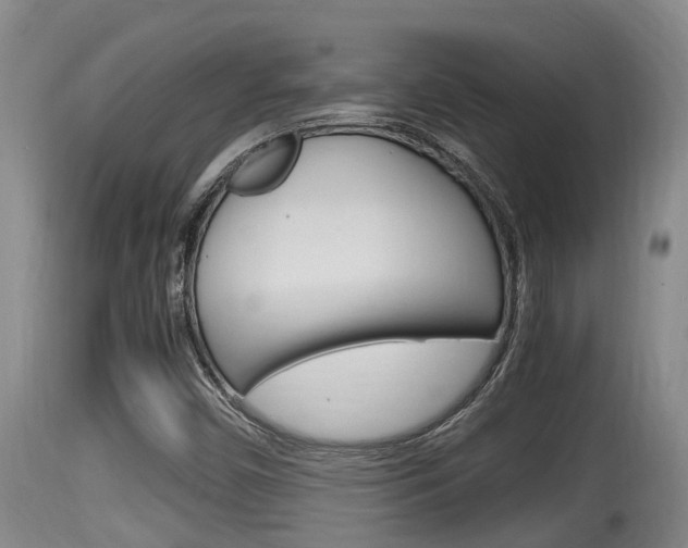 X0000115661450200911120932