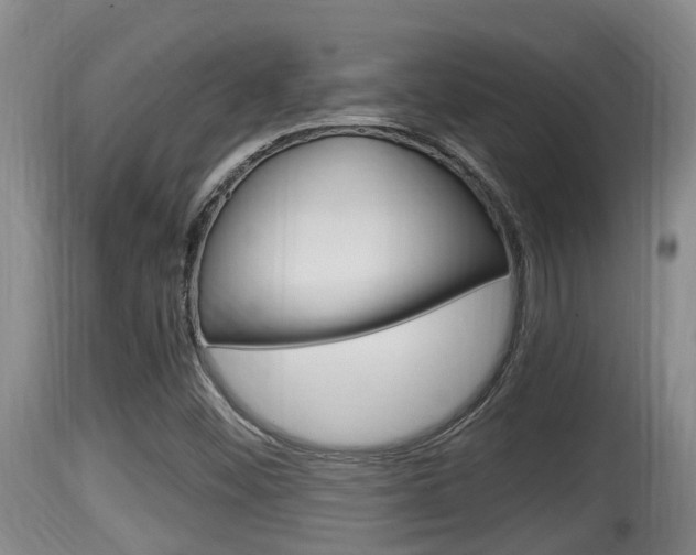 X0000115661452200911120932