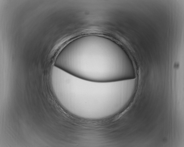 X0000115661453200911120932