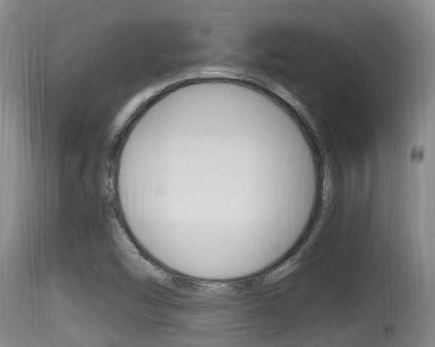 X0000115661454200911120932