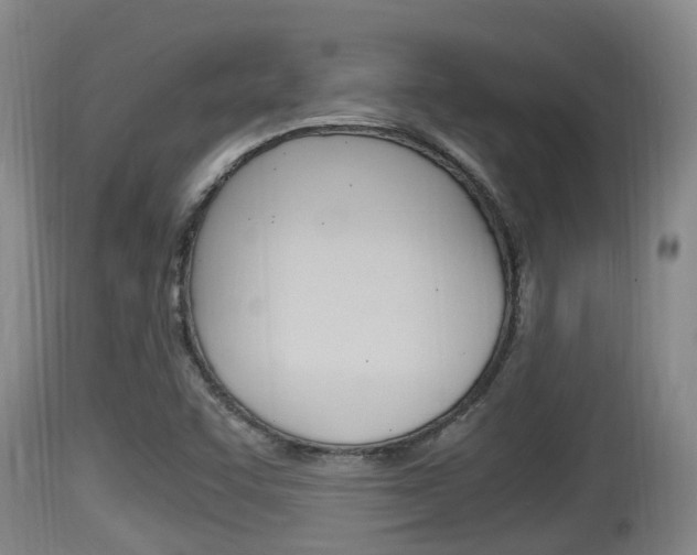 X0000115661455200911120932