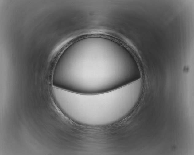 X0000115661456200911120932