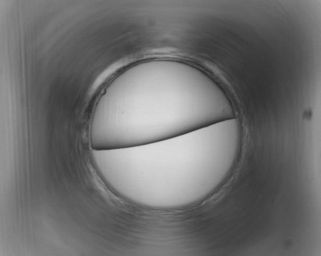X0000115661458200911120932