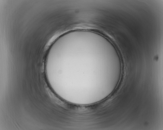 X0000115661459200911120932