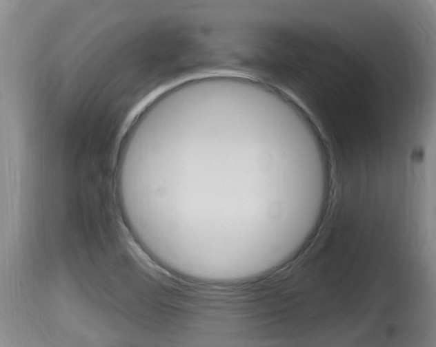 X0000115661460200911120932