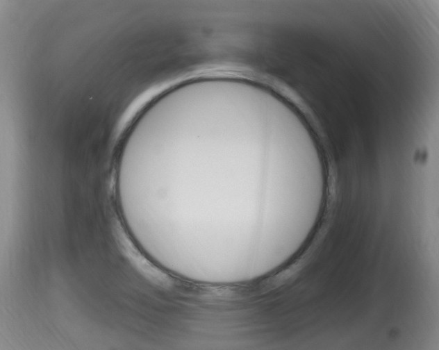 X0000115661462200911120932
