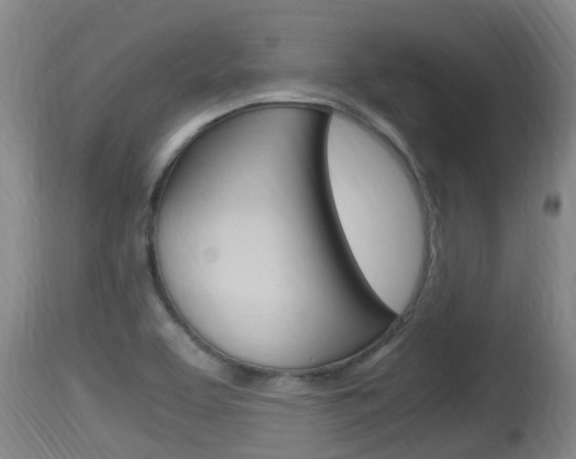 X0000115661463200911120932