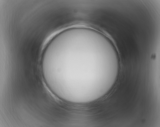X0000115661464200911120932
