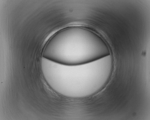 X0000115661465200911120932