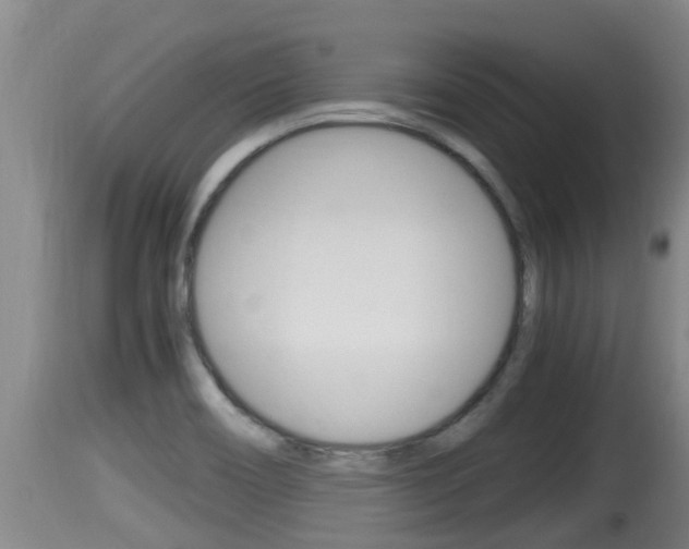 X0000115661466200911120932
