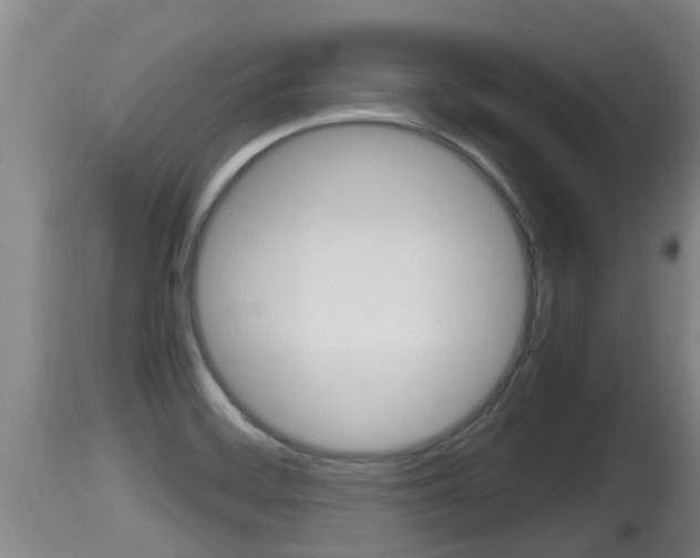 X0000115661468200911120932