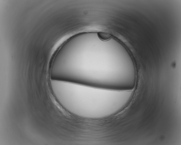 X0000115661469200911120932