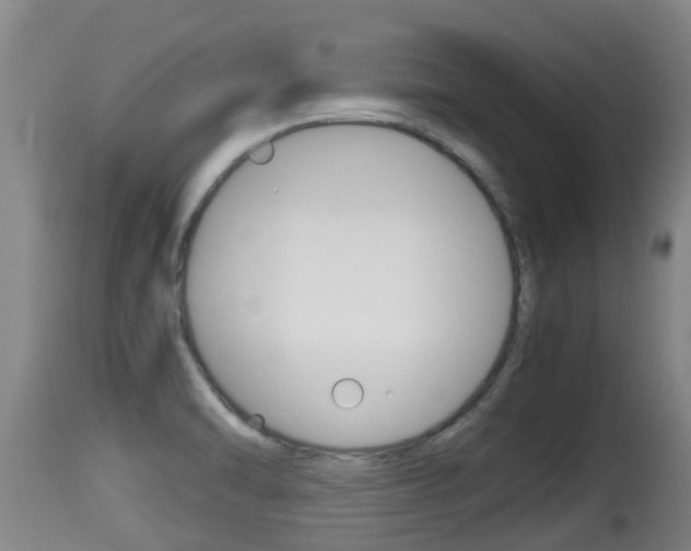 X0000115661470200911120932