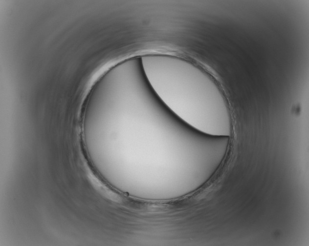 X0000115661471200911120932