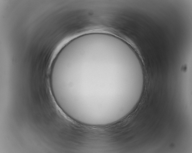 X0000115661472200911120932