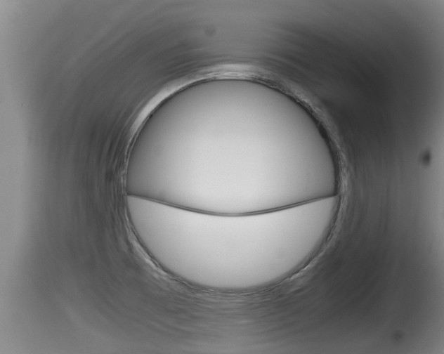 X0000115661473200911120932