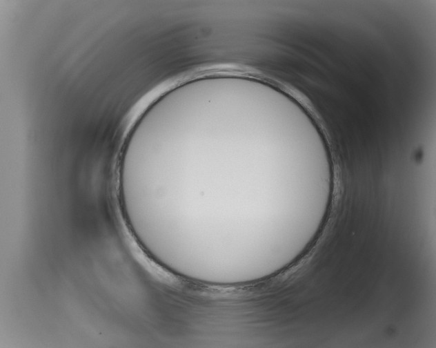 X0000115661474200911120932
