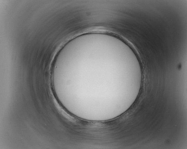 X0000115661475200911120932