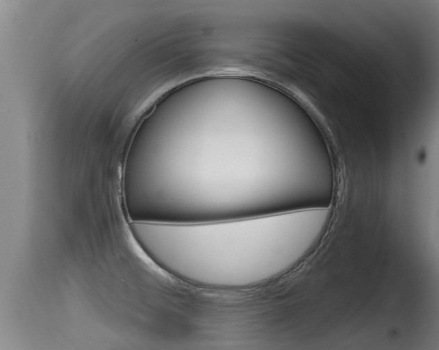 X0000115661476200911120932