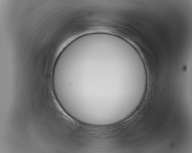 X0000115661477200911120932