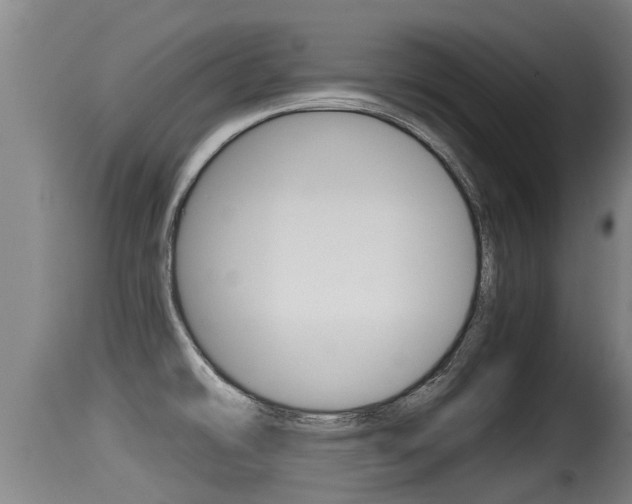 X0000115661478200911120932