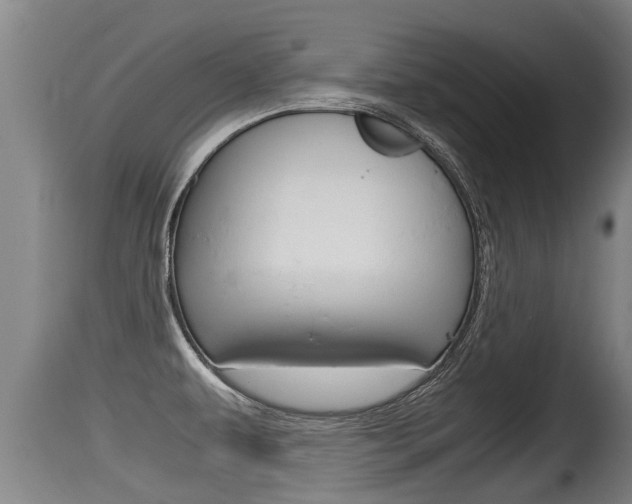 X0000115661479200911120932