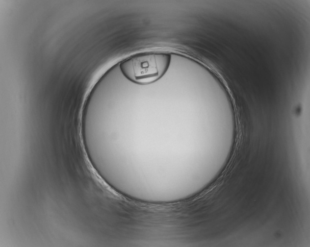 X0000115661480200911120932