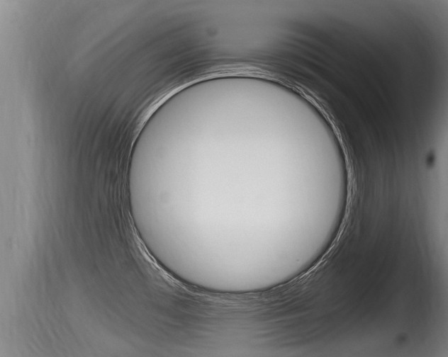 X0000115661481200911120932