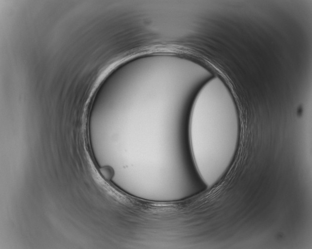 X0000115661483200911120932