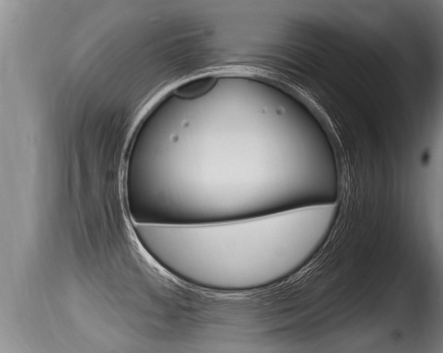 X0000115661484200911120932
