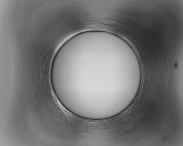 X0000115661485200911120932